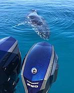 Click image for larger version. 

Name:	rude.jpg 
Views:	213 
Size:	106.0 KB 
ID:	457810