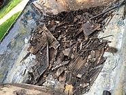 Click image for larger version. 

Name:	IMG_3628.jpg 
Views:	20 
Size:	464.1 KB 
ID:	461991