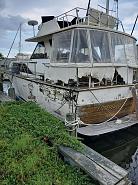 Click image for larger version. 

Name:	111323729_3432506080101400_4414842069569704267_o.jpg 
Views:	322 
Size:	168.1 KB 
ID:	471044