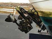 Click image for larger version. 

Name:	117768735_10159092396954068_7935551777833177606_n.jpg 
Views:	278 
Size:	77.3 KB 
ID:	472155