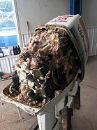 Click image for larger version. 

Name:	117841778_10158514777794477_6359698321764359947_n.jpg 
Views:	276 
Size:	78.3 KB 
ID:	472156