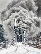 Click image for larger version. 

Name:	121538897_180272890363459_3406742040178789495_o.jpg 
Views:	378 
Size:	94.7 KB 
ID:	475628