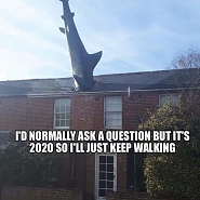Click image for larger version. 

Name:	2020 3.png 
Views:	252 
Size:	340.6 KB 
ID:	478232