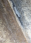 Click image for larger version.&nbsp;

Name:	1979_Viking_4.jpg&nbsp;
Views:	99&nbsp;
Size:	403.9 KB&nbsp;
ID:	482554