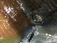 Click image for larger version.&nbsp;

Name:	5F585B69-BA19-48C9-BE26-84527F76A488.jpeg&nbsp;
Views:	60&nbsp;
Size:	327.8 KB&nbsp;
ID:	494327