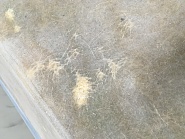 Click image for larger version. 

Name:	67818B5B-88FE-45D5-B097-8FC114918394.jpg 
Views:	29 
Size:	379.0 KB 
ID:	502039