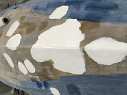 Click image for larger version. 

Name:	D0B0EB4E-EB3D-4DFE-9FD3-4A422DA233EB.jpeg 
Views:	43 
Size:	317.5 KB 
ID:	502162