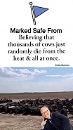 Click image for larger version. 

Name:	gates cows.jpg 
Views:	154 
Size:	39.4 KB 
ID:	506279