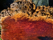 Click image for larger version. 

Name:	Tree 3.jpg 
Views:	17 
Size:	328.4 KB 
ID:	509868