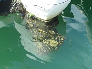 Click image for larger version. 

Name:	IMG_2590.jpg 
Views:	46 
Size:	398.8 KB 
ID:	512693