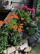 Click image for larger version. 

Name:	76D2FFDA-6B69-46BB-99DA-2836C2711F61.jpg 
Views:	31 
Size:	448.9 KB 
ID:	521098
