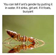 Click image for larger version.&nbsp;

Name:	bouyant.jpg&nbsp;
Views:	21&nbsp;
Size:	42.5 KB&nbsp;
ID:	521114