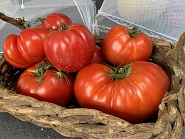 Click image for larger version.&nbsp;

Name:	IMG_0269.jpg&nbsp;
Views:	70&nbsp;
Size:	419.9 KB&nbsp;
ID:	523494