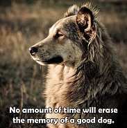 Click image for larger version. 

Name:	IMG_1065.jpeg 
Views:	20 
Size:	211.6 KB 
ID:	527788