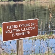 Click image for larger version.&nbsp;

Name:	IMG_5999.jpeg&nbsp;
Views:	28&nbsp;
Size:	97.2 KB&nbsp;
ID:	528990