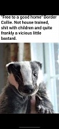 Click image for larger version. 

Name:	IMG_2670.jpeg 
Views:	45 
Size:	117.4 KB 
ID:	529145