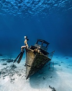 Click image for larger version. 

Name:	IMG_3352.jpeg 
Views:	63 
Size:	215.9 KB 
ID:	529446