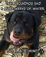 Click image for larger version.&nbsp;

Name:	IMG_3365.jpeg&nbsp;
Views:	27&nbsp;
Size:	156.4 KB&nbsp;
ID:	529448