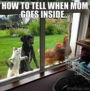 Click image for larger version. 

Name:	IMG_5454.jpeg 
Views:	156 
Size:	197.5 KB 
ID:	530993