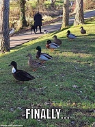 Click image for larger version. 

Name:	IMG_5729.jpeg 
Views:	83 
Size:	344.8 KB 
ID:	531244