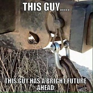 Click image for larger version. 

Name:	dumb stuff.jpg 
Views:	36 
Size:	53.6 KB 
ID:	531589