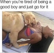 Click image for larger version. 

Name:	IMG_7351.jpeg 
Views:	84 
Size:	98.3 KB 
ID:	532459