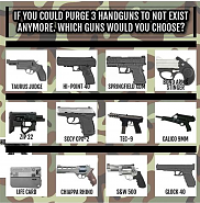 Click image for larger version. 

Name:	gun choose.png 
Views:	102 
Size:	325.1 KB 
ID:	534085