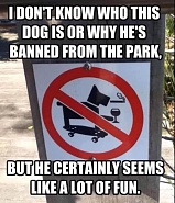 Click image for larger version. 

Name:	IMG_9808.jpeg 
Views:	64 
Size:	245.6 KB 
ID:	534342