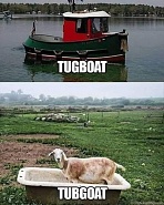 Click image for larger version. 

Name:	IMG_0777.jpeg 
Views:	98 
Size:	142.8 KB 
ID:	535237