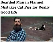 Click image for larger version. 

Name:	IMG_0934.jpeg 
Views:	73 
Size:	118.2 KB 
ID:	535378