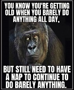 Click image for larger version. 

Name:	IMG_1349.jpeg 
Views:	10 
Size:	189.2 KB 
ID:	535679