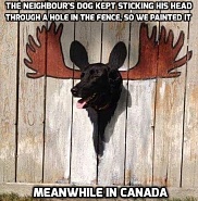 Click image for larger version. 

Name:	IMG_1253.jpeg 
Views:	114 
Size:	111.1 KB 
ID:	535690