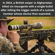 Click image for larger version. 

Name:	IMG_1426.jpeg 
Views:	48 
Size:	76.6 KB 
ID:	535868