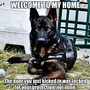 Click image for larger version.&nbsp;

Name:	IMG_3208.jpeg&nbsp;
Views:	111&nbsp;
Size:	149.3 KB&nbsp;
ID:	537459