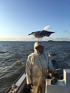 Click image for larger version. 

Name:	IMG_3515.jpg 
Views:	129 
Size:	409.8 KB 
ID:	537895