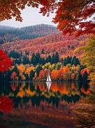 Click image for larger version. 

Name:	IMG_3569.jpeg 
Views:	131 
Size:	381.3 KB 
ID:	537896