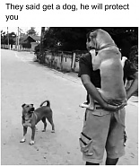 Click image for larger version. 

Name:	IMG_6396.jpeg 
Views:	209 
Size:	229.4 KB 
ID:	540804