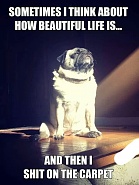 Click image for larger version. 

Name:	IMG_7545.jpeg 
Views:	91 
Size:	117.3 KB 
ID:	541938