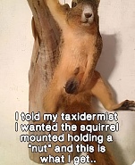 Click image for larger version. 

Name:	Clutching Nuts (plural).jpg 
Views:	202 
Size:	302.8 KB 
ID:	544260