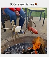 Click image for larger version. 

Name:	IMG_1465.jpeg 
Views:	37 
Size:	139.6 KB 
ID:	546236