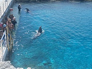 Click image for larger version. 

Name:	20251114_114502.jpg 
Views:	5 
Size:	441.9 KB 
ID:	546383