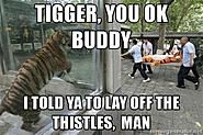 Click image for larger version. 

Name:	tigger222.jpg 
Views:	174 
Size:	40.3 KB 
ID:	371181