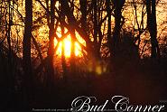 Click image for larger version. 

Name:	Sunset from the woods b.jpg 
Views:	378 
Size:	441.6 KB 
ID:	479779