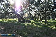 Click image for larger version. 

Name:	river-ranch-highlights-16.jpg 
Views:	91 
Size:	286.2 KB 
ID:	376344