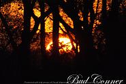 Click image for larger version. 

Name:	Sunset from the woods d.jpg 
Views:	375 
Size:	407.6 KB 
ID:	479780