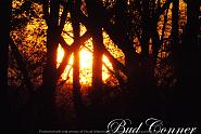 Click image for larger version. 

Name:	Sunset from the woods a.jpg 
Views:	379 
Size:	425.4 KB 
ID:	479778