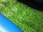 Click image for larger version. 

Name:	grass bottom.jpg 
Views:	72 
Size:	123.2 KB 
ID:	323962