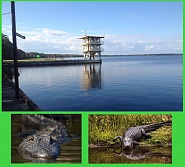 Click image for larger version. 

Name:	Lake X tower.jpg 
Views:	393 
Size:	306.3 KB 
ID:	486959