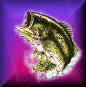 Electric Fish's Avatar