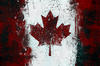 Maple Leaf's Avatar